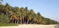 Havelock Island (Swaraj Dweep)