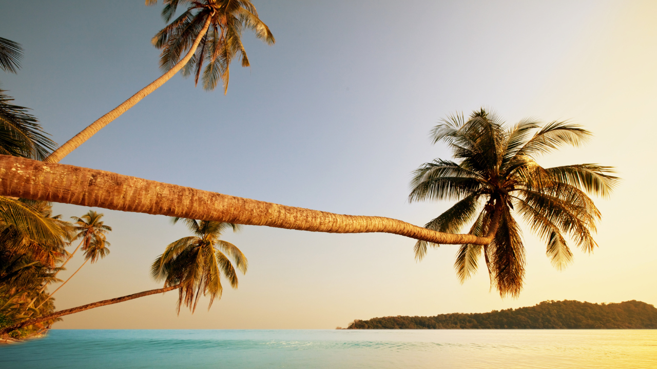 planning a trip to andaman