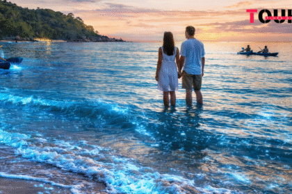 Bioluminescence-in-Havelock-Island-Best